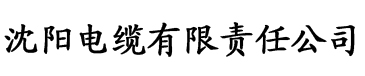 不知火舞和三个小男孩漫画电缆厂logo